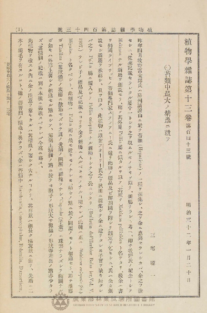 植物學雜誌 第十三卷第百四十三號