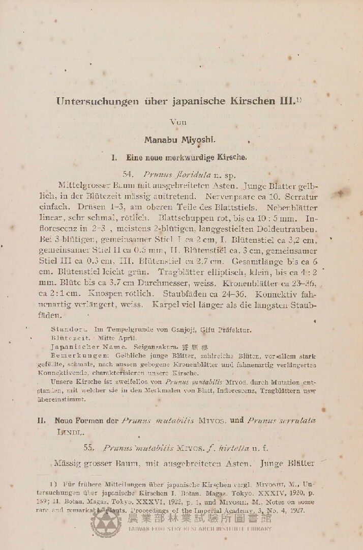 植物學雜誌 第四十二卷第五百零四號