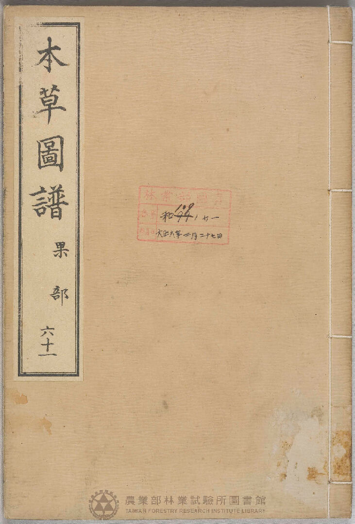 本草圖譜 果部 六十一