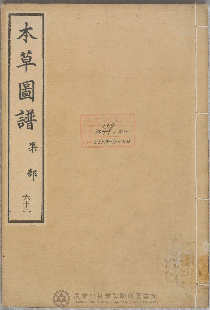 本草圖譜 果部 六十二