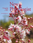 New Phytologist